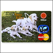 パピーウォーカーカード（Puppy Walker Card）