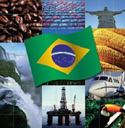 レッグ・メイソン・アセット・マネジメント/LM・ブラジル国債ファンド（毎月分配型）