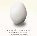 ゴールドマン・サックス・アセット・マネジメント/米国REITファンド Bコース （毎月分配型） 愛称：コロンブスの卵