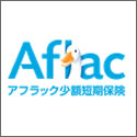 ｱﾌﾗｯｸ少額短期保険　はぐくむ子育て保険ﾎﾞﾔｰｼﾞｭ