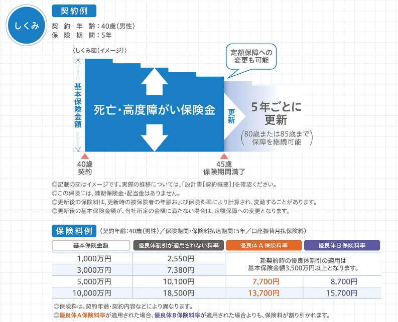 定期保険Dタイプの保障内容(出典:大同生命 Dタイプ無配当逓減定期保険(無解約返戻金型)パンフレット2023年12月版)