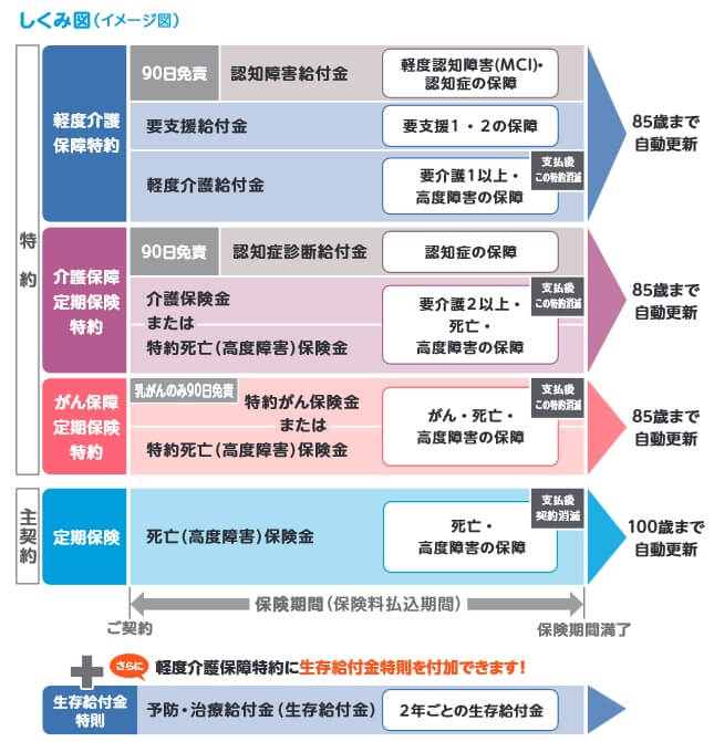 主契約と特約の保障内容と保険期間(出典:フコクしんらい生命 ハローキティの定期保険パンフレット2025年4月版)