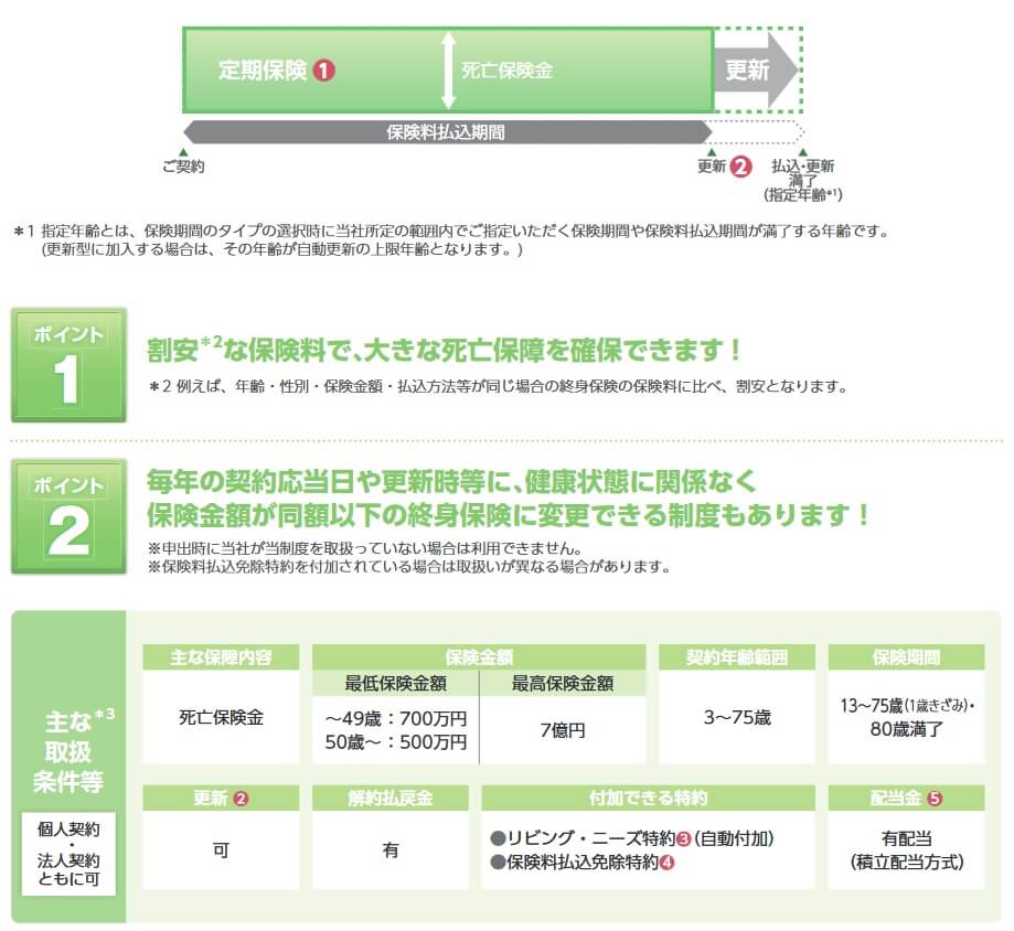 日本生命の定期保険の保障内容(出典:日本生命 定期保険 商品パンフレット2024年4月版)