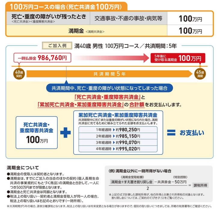 定期生命プランの一時払/養老型の保障内容と仕組み(出典:こくみん共済coop公式HP「定期生命プラン | 死亡保障 | せいめい共済(個人長期生命共済)」)